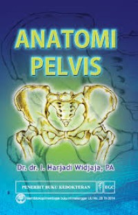 Anatomi Pelvis